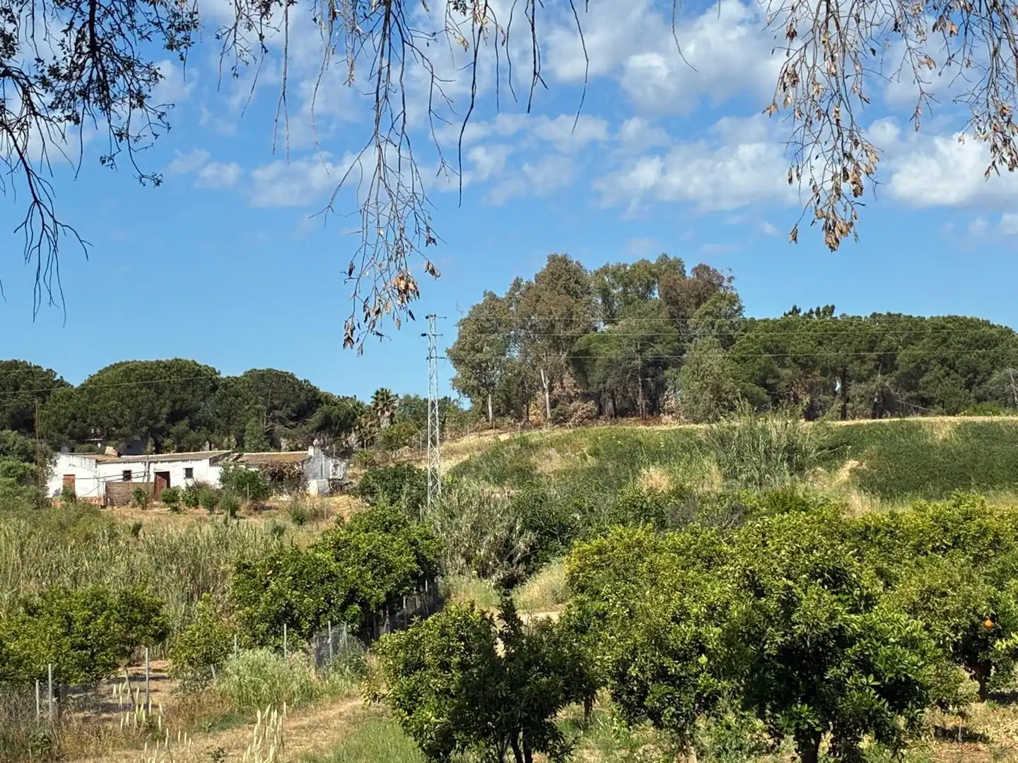 Terreno en venta en Gibraleón