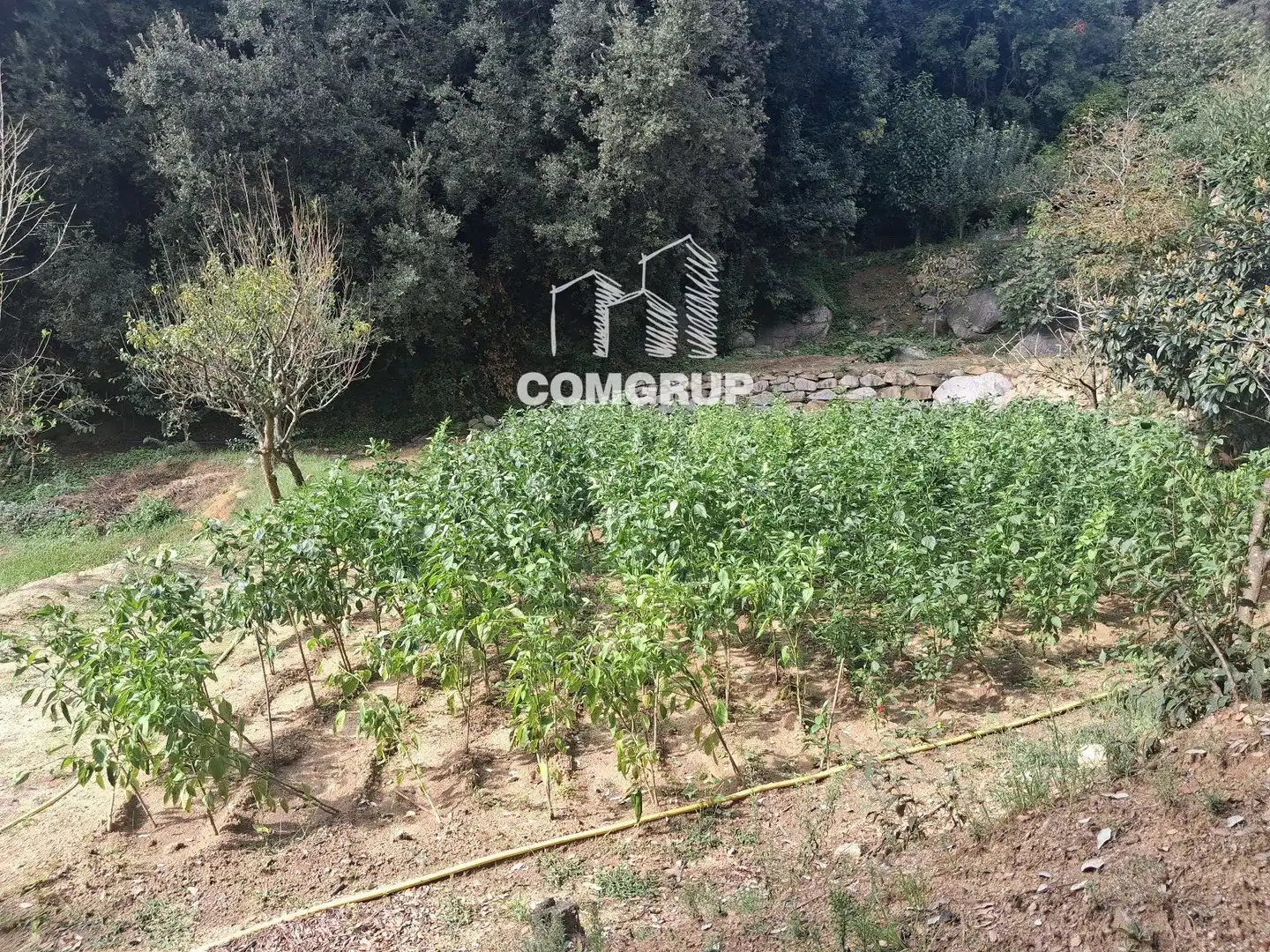 House with pool for sale in can rovira, imagen 24