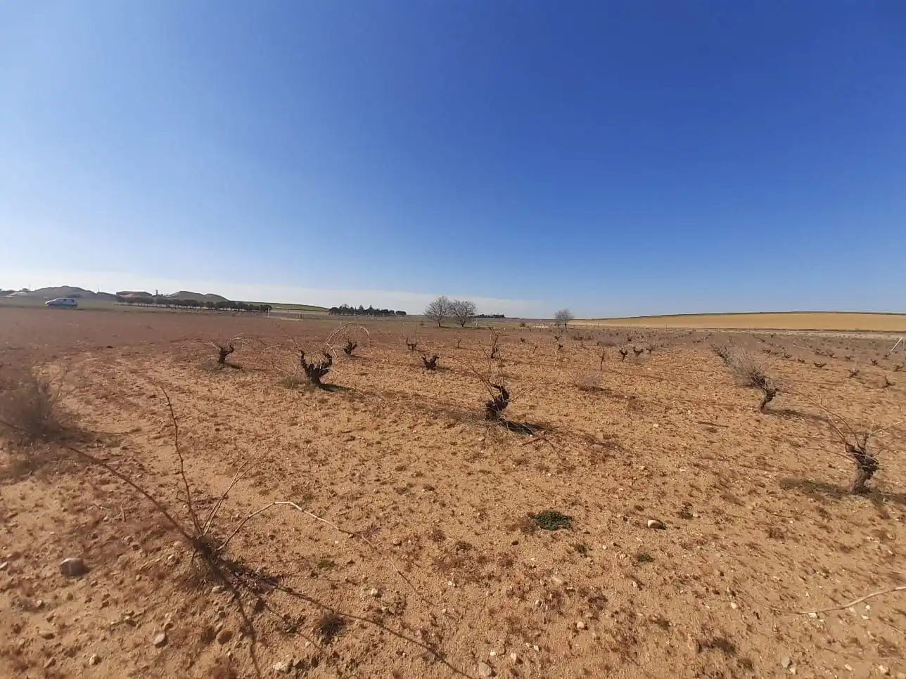 Terreno en venta en Moraleja del Vino
