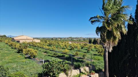 Photo 3 of Apartment for sale in Pedreguer, Alicante