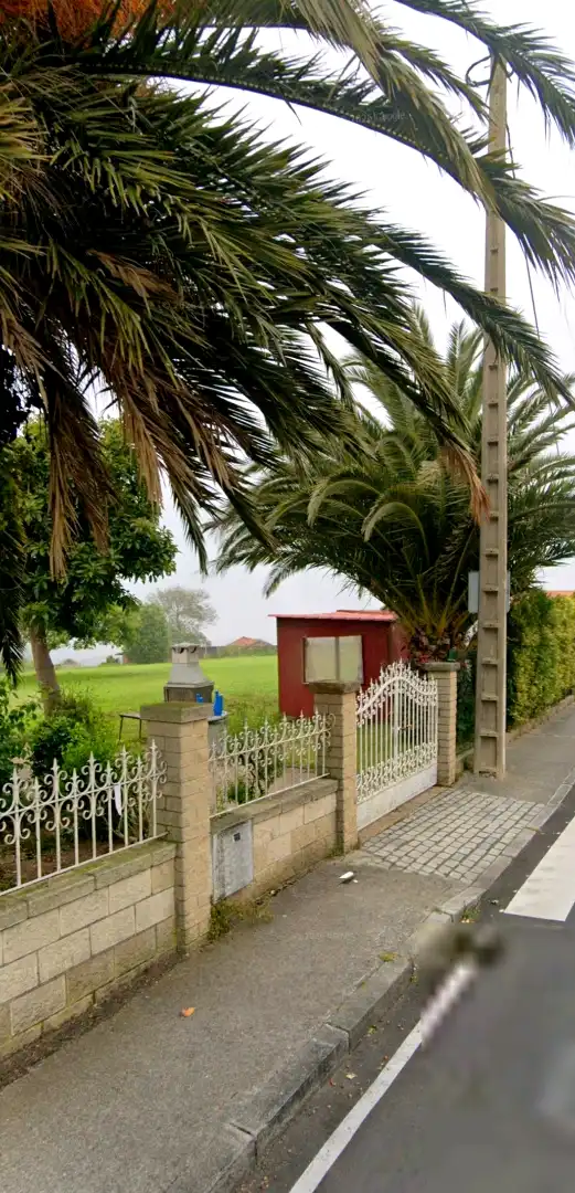 Vista exterior de Casa o chalet en venta en Avilés con Jardín privado y Terraza