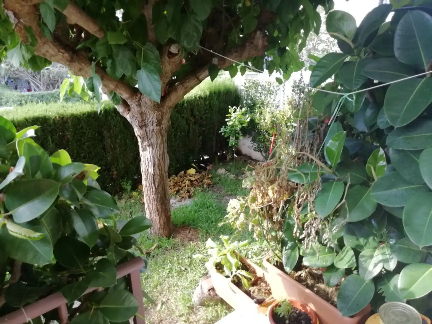 Apartament amb piscina en venda a Carrer Telègraf 5, imagen 16