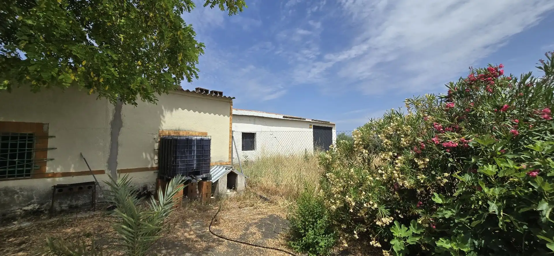 Terreno rustico in vendita a Argamasilla de Calatrava, imagen 22