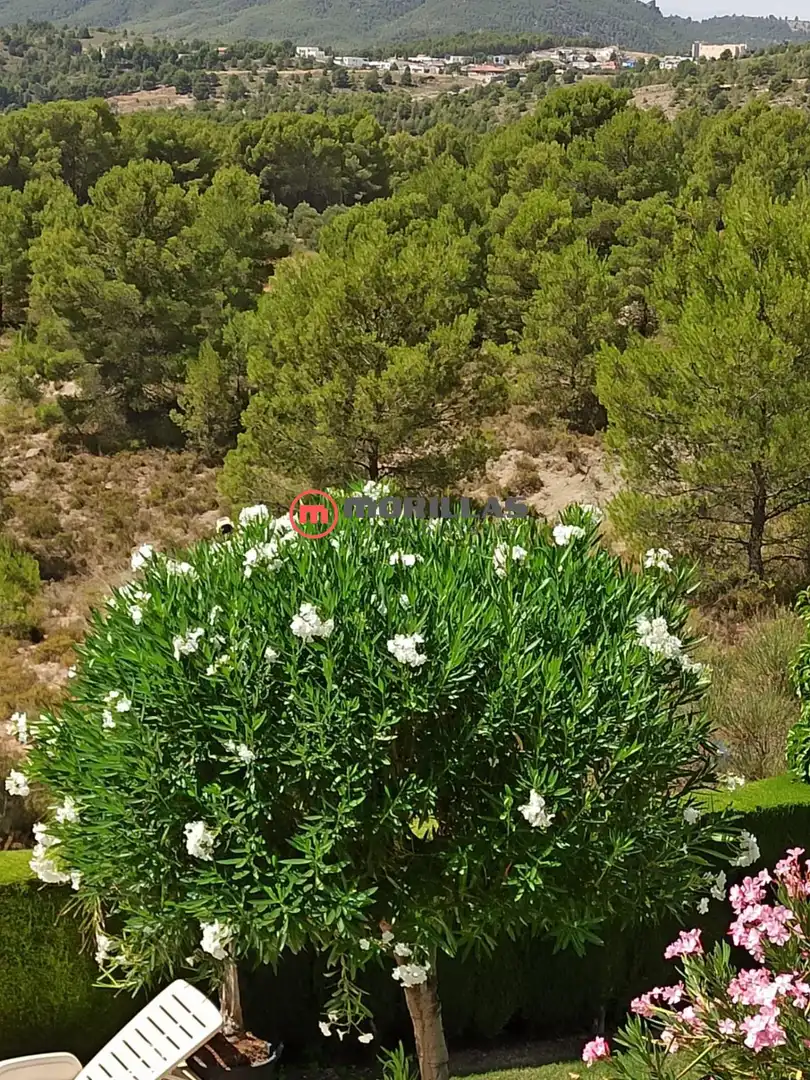 Villa avec terrasse à vendre à Caravaca de la Cruz, imagen 25