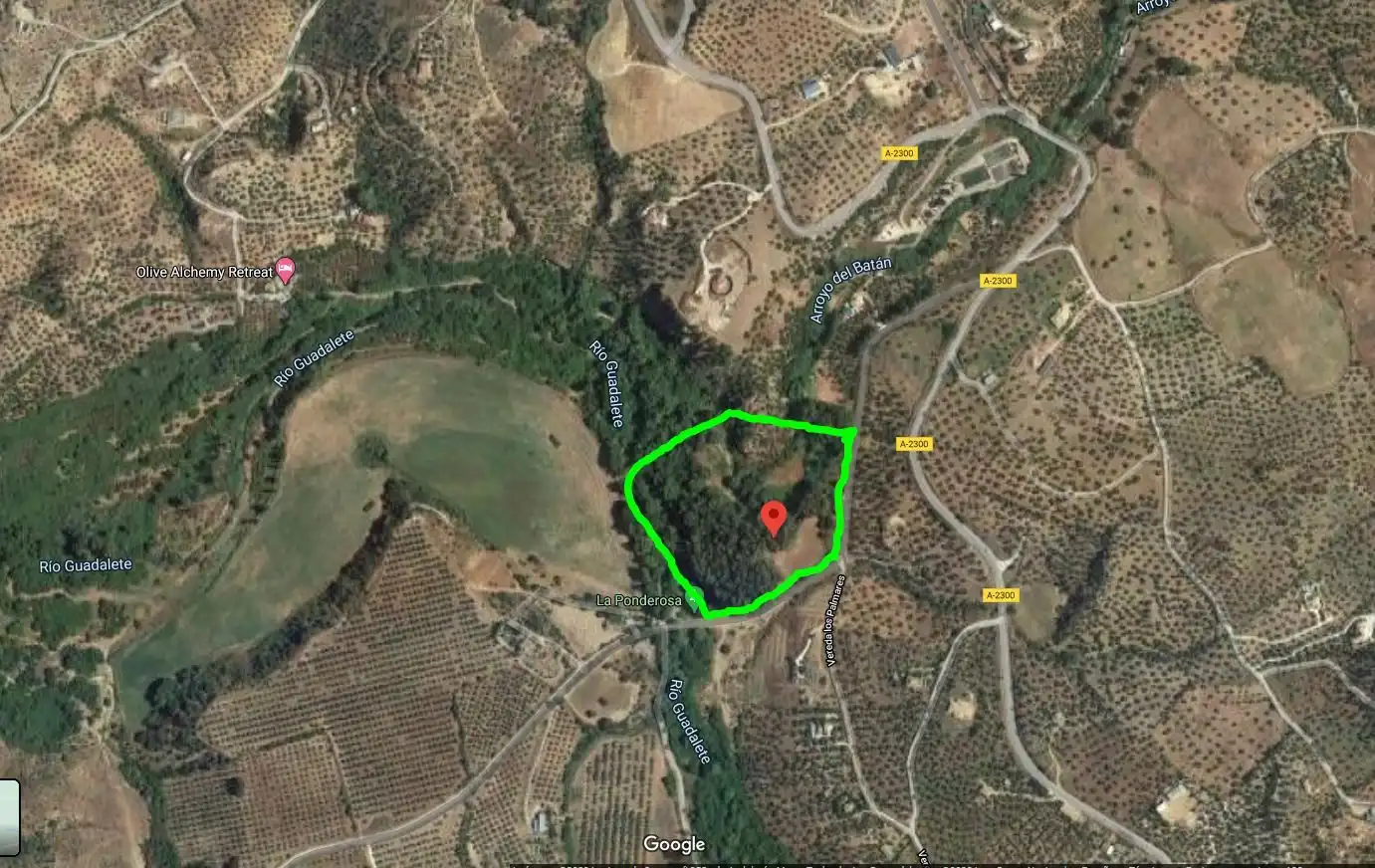 Terreny rústic en venda a Algodonales, imagen 7