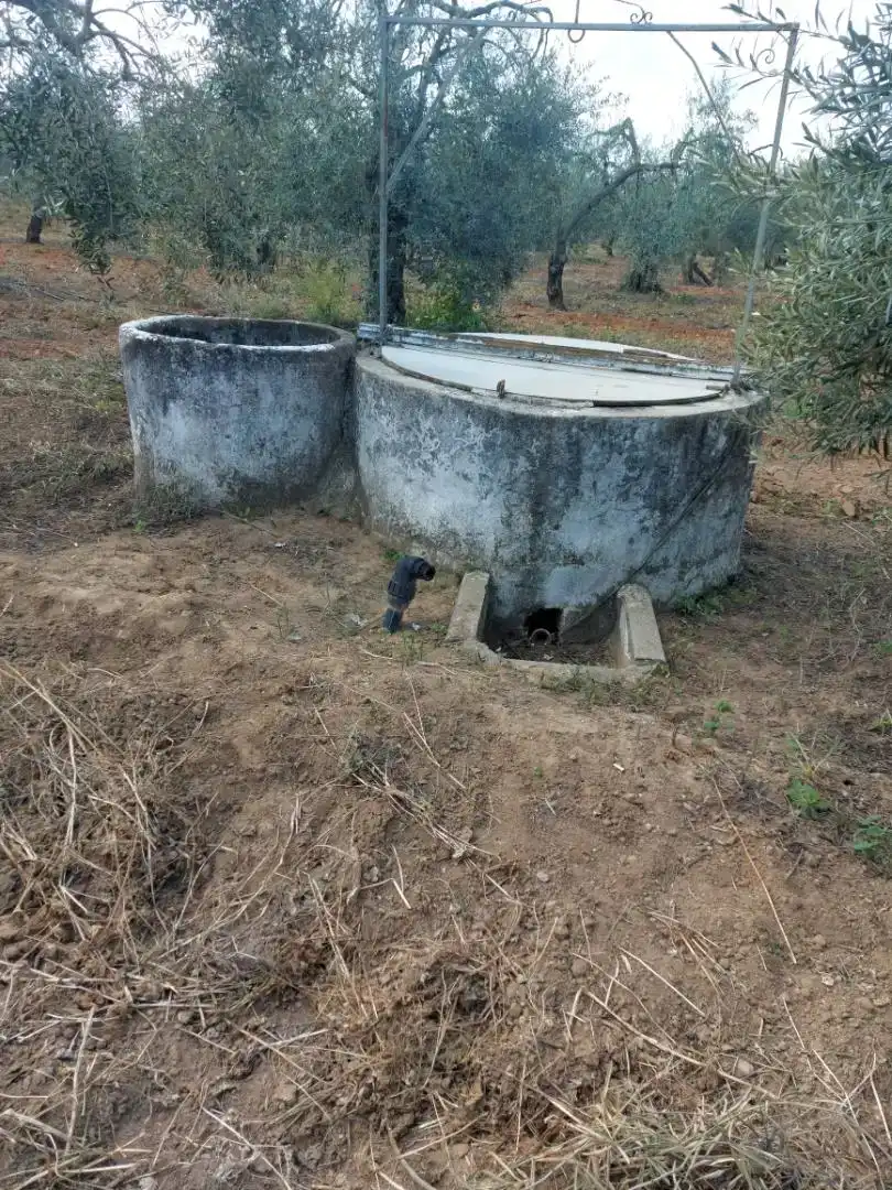 Jardí de Finca rústica en venda en Pilas