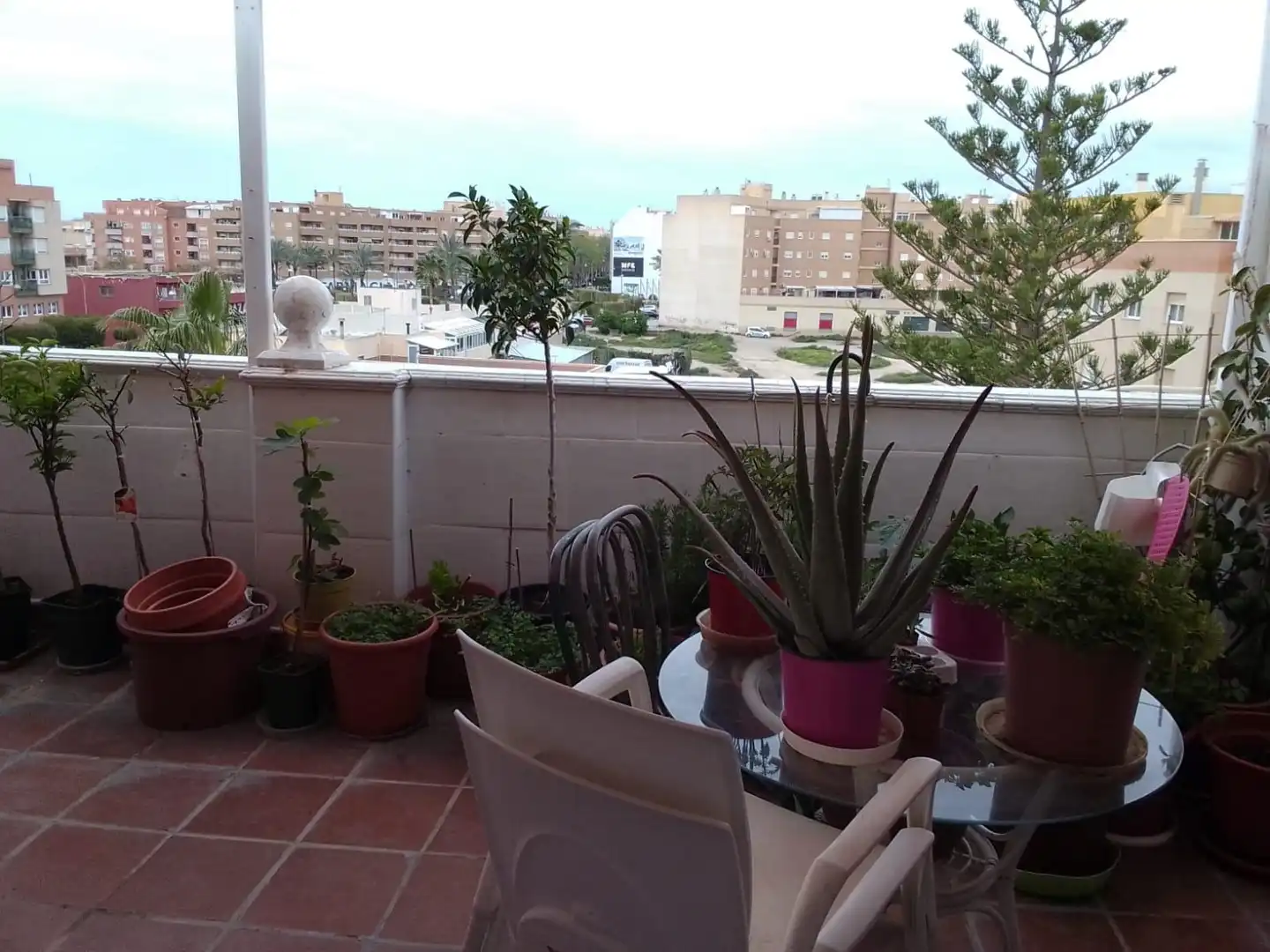 Terrassa de Pis en venda en El Ejido