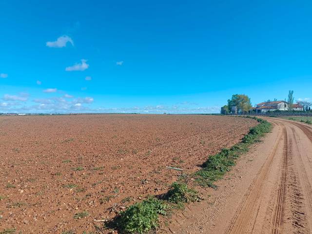 Terreno residencial en Venta en El Toboso
