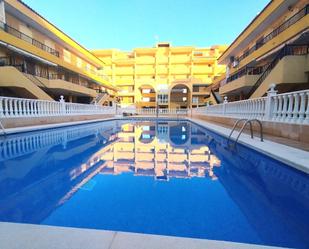 Swimming pool of Study for sale in Torrevieja  with Terrace, Furnished and Community pool