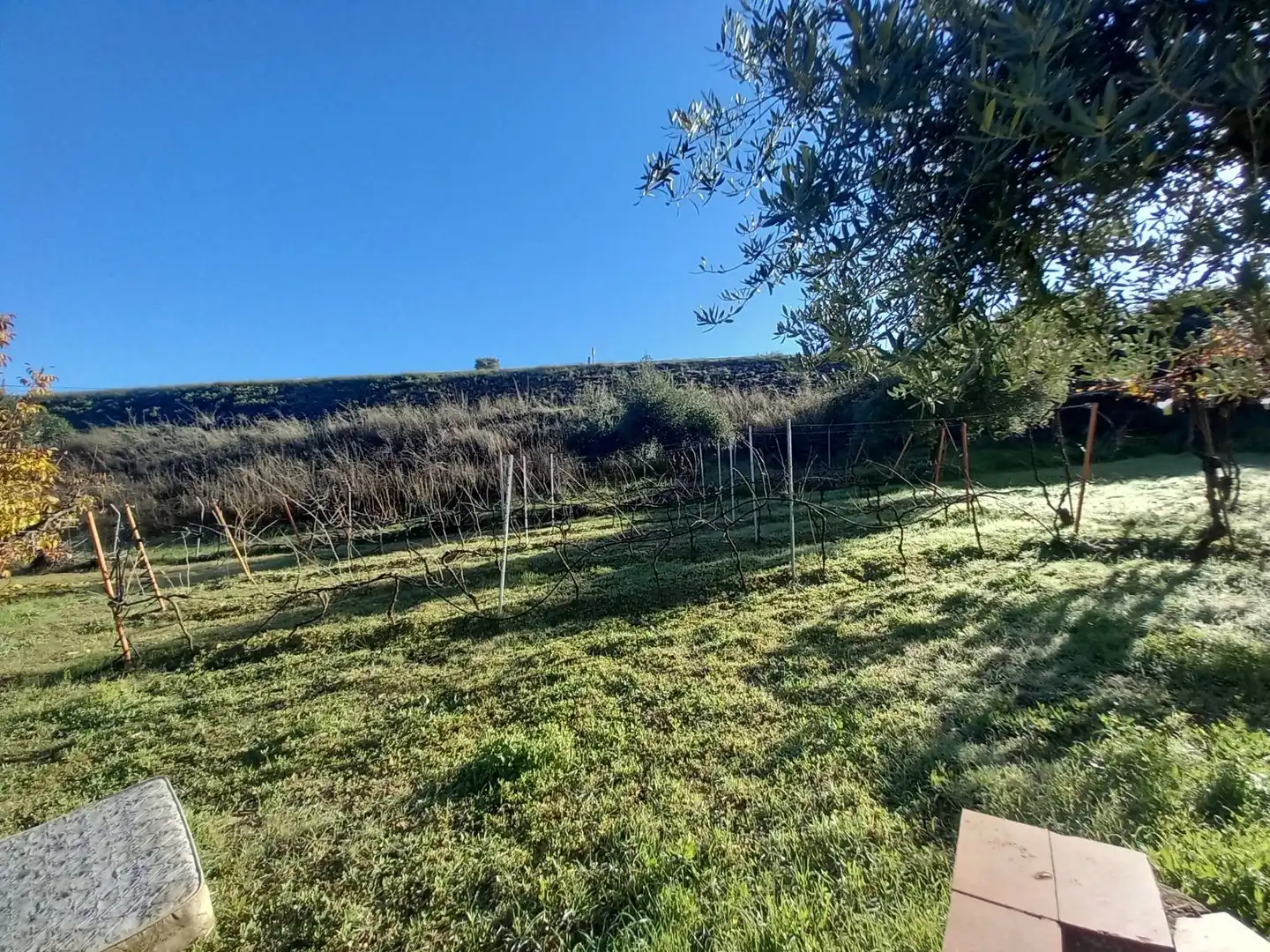 Finca rústica en venda a Partidas Norte