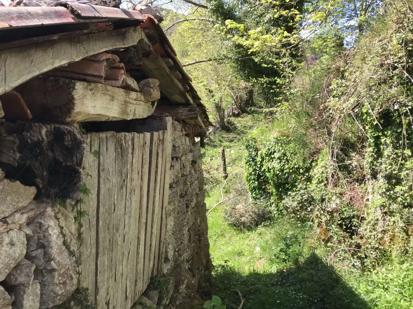 Terreno rustico in vendita a Cangas de Onís, imagen 11
