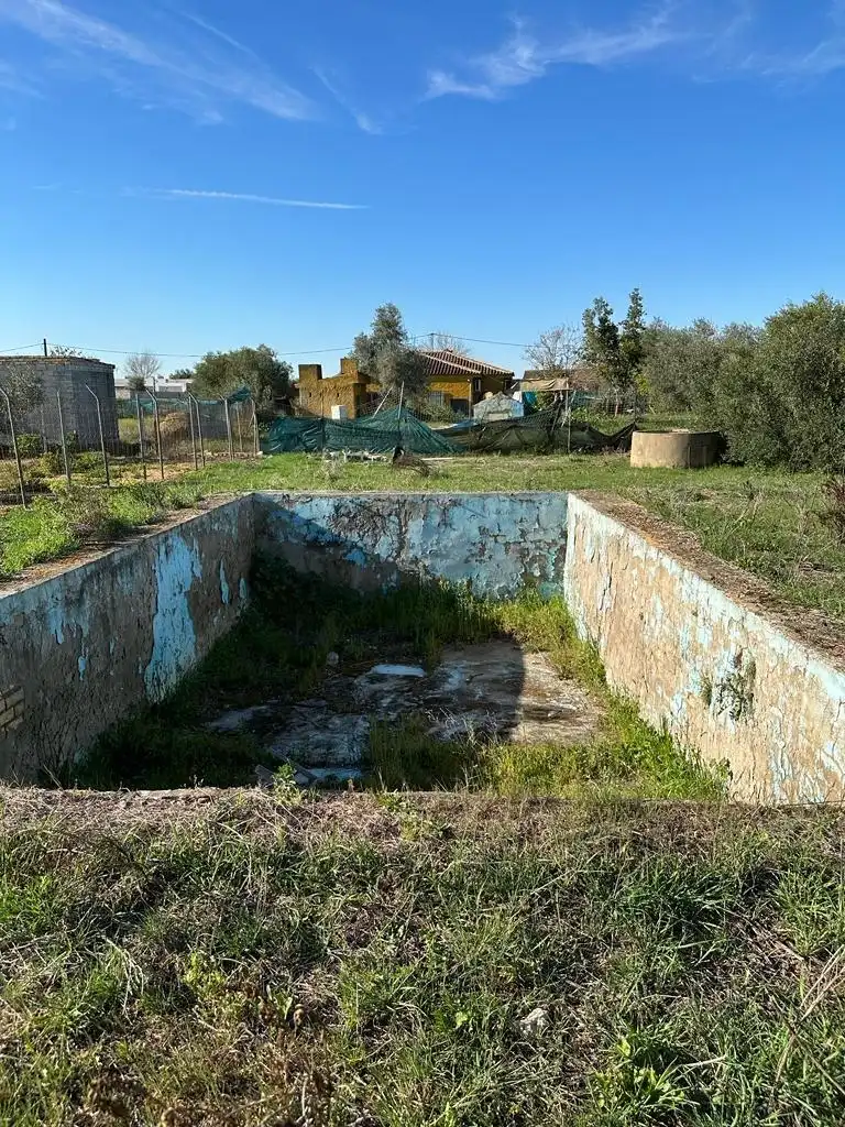 Terreny rústic en venda a Pedanías Norte, imagen 3