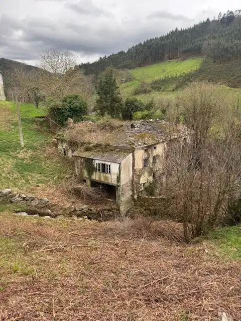 Vista exterior de Finca rústica en venta en Castropol