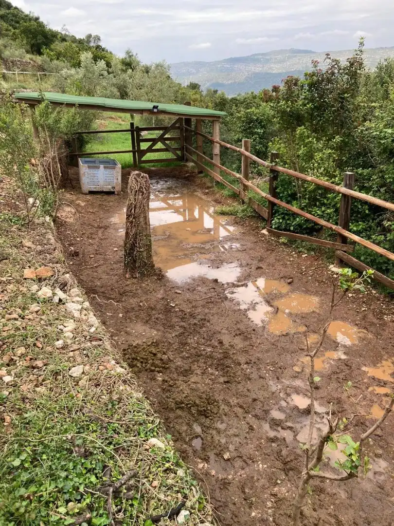 Jardín de Finca rústica en venta en Freginals con Terraza y Trastero
