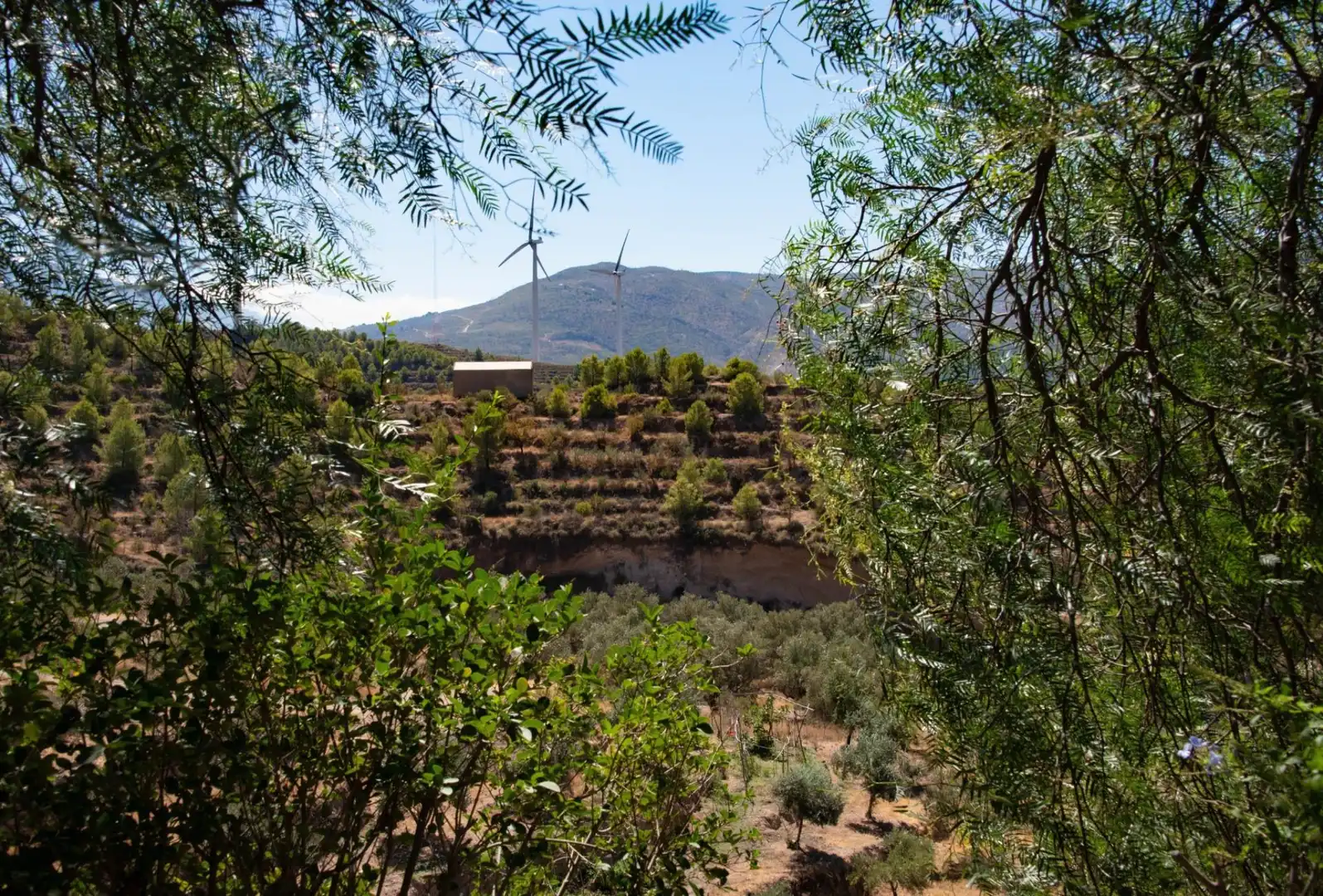 Garden of Country homes for sale in El Pinar, Granada