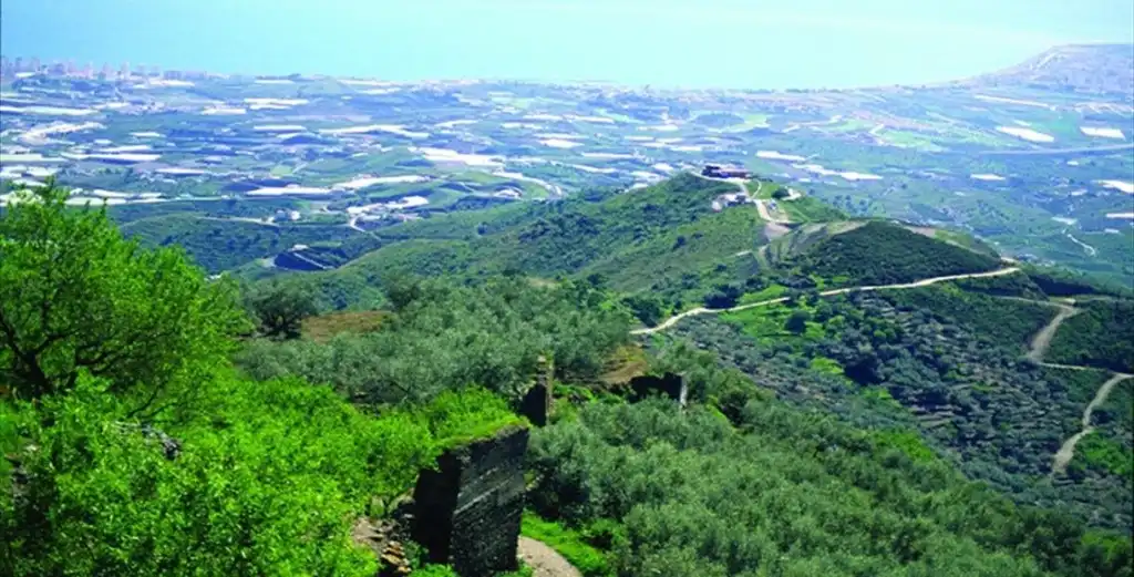 Lands and plots for sale in Arenas, imagen 3