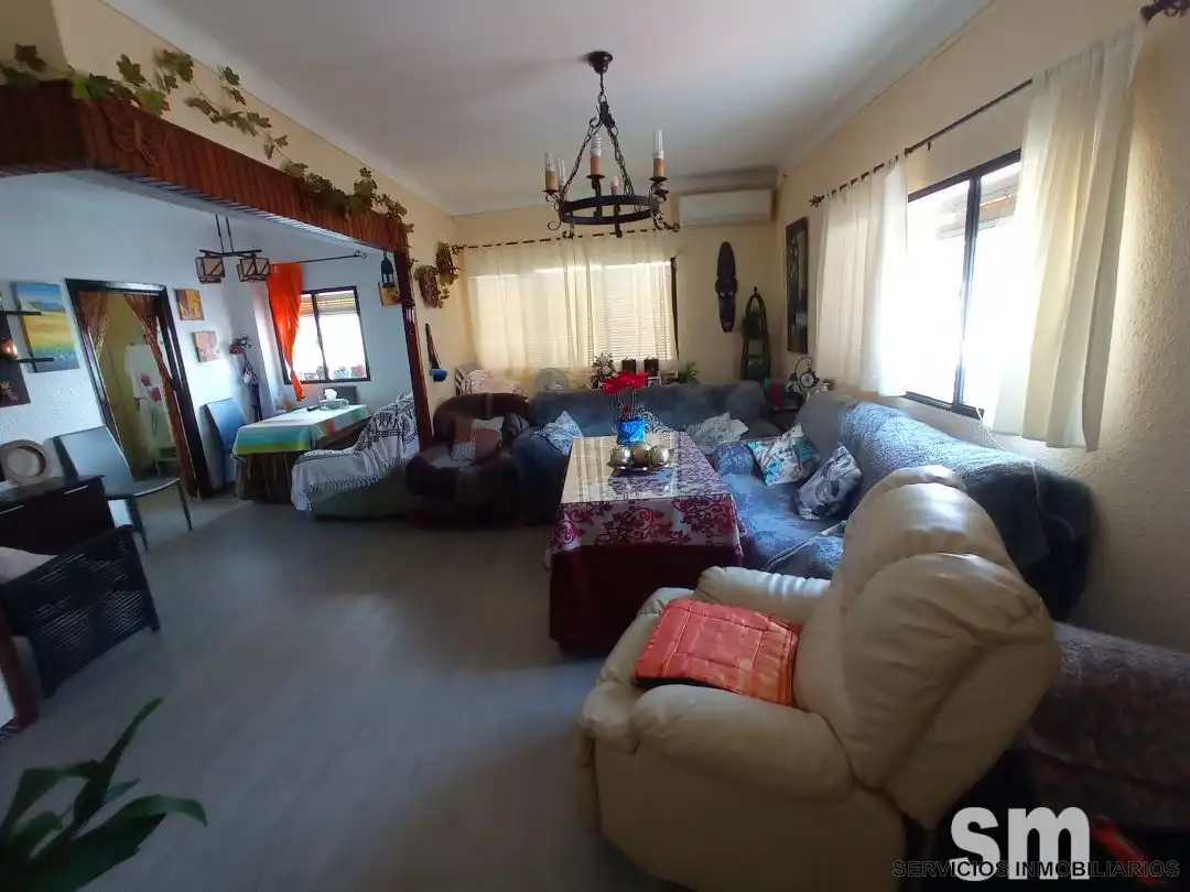 Sala d'estar de Casa o xalet en venda en Ubrique amb Terrassa i Balcó