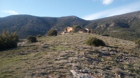 MASIA ÚNICA A PERAMOLA (CORTIUDA) - 400 m2 PER REHABILITAR, immagine 3