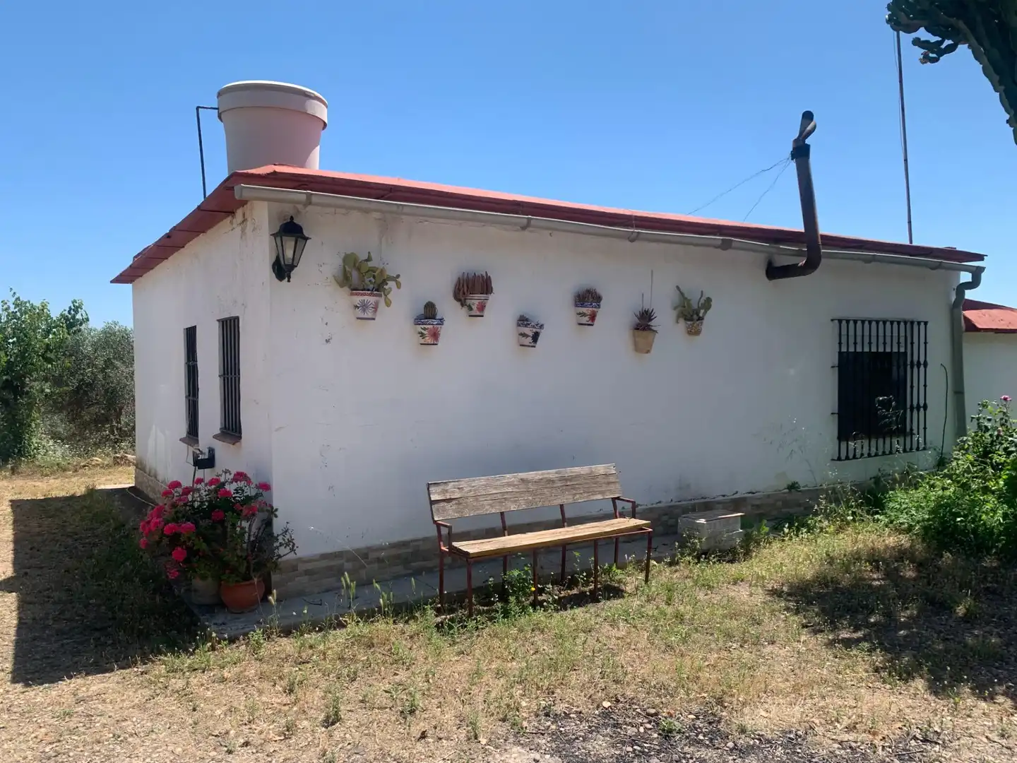 Vista exterior de Casa o chalet en venta en Cantillana con Jardín privado y Piscina
