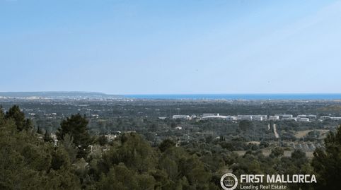 Foto 5 de Casa adosada en venta en Bunyola, Illes Balears