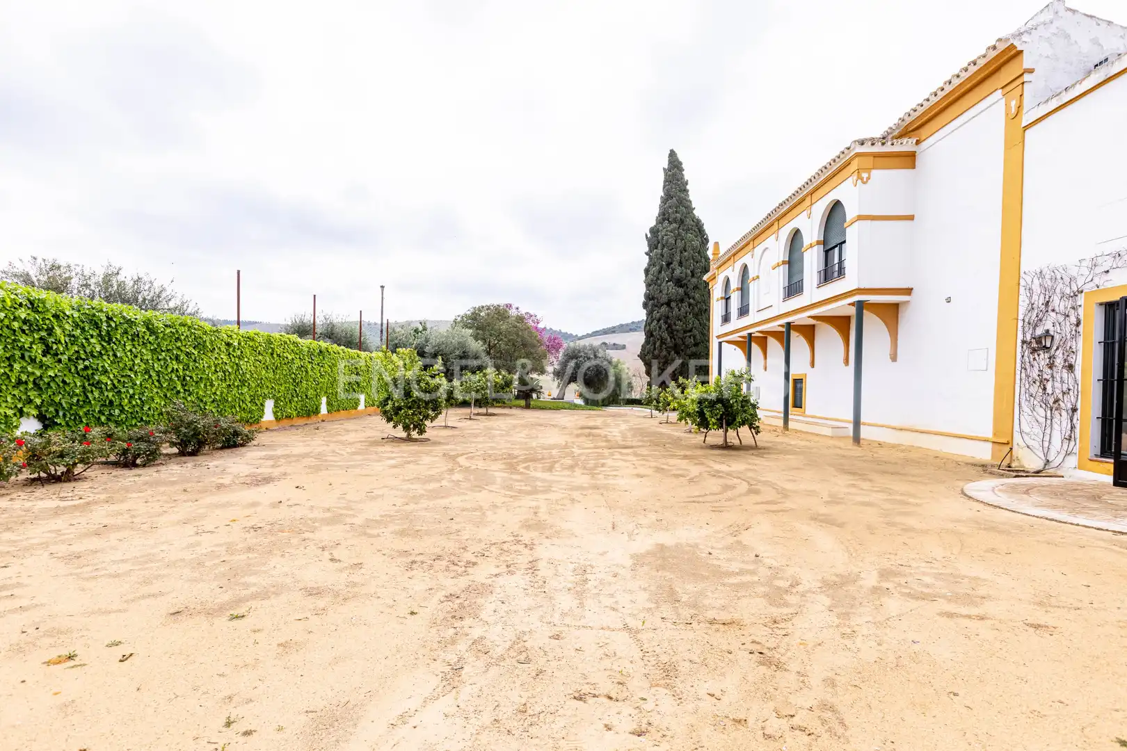 Vista exterior de Casa o chalet en venta en La Puebla de Cazalla con Calefacción, Jardín privado y Terraza