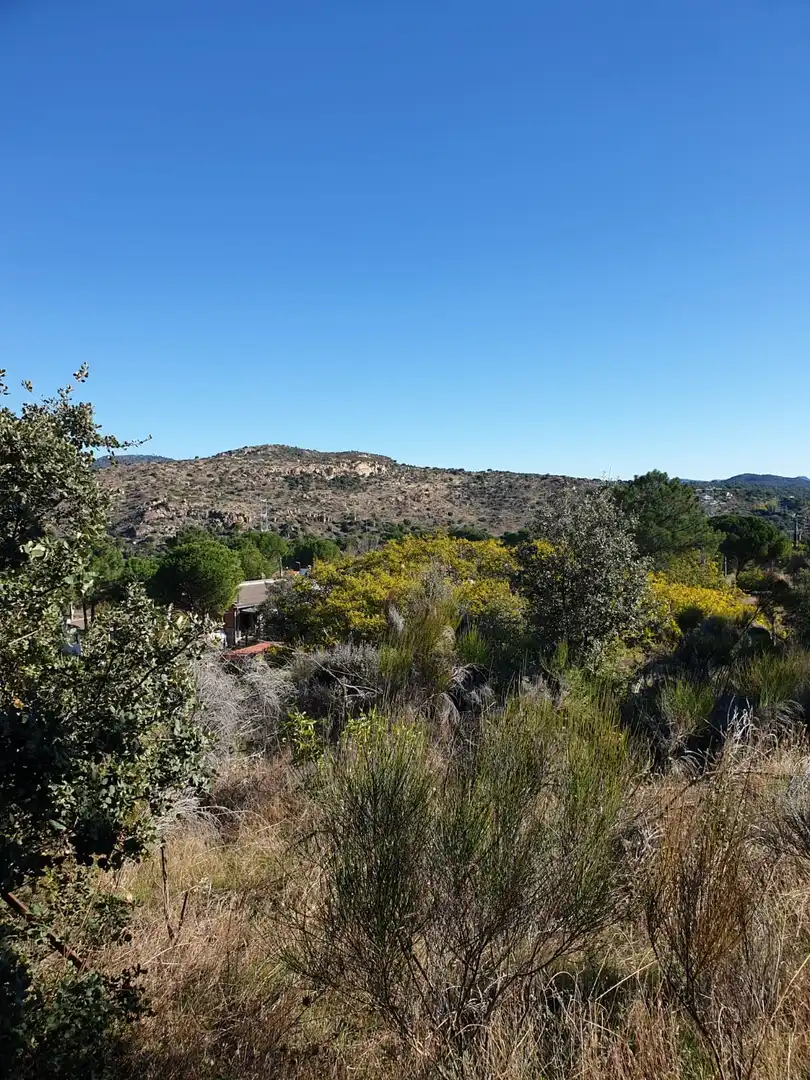 Terreny en venda en El Tiemblo 
