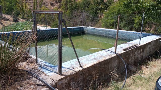 Finca rústica en Venta en Calle Jardines, 20 en Gor