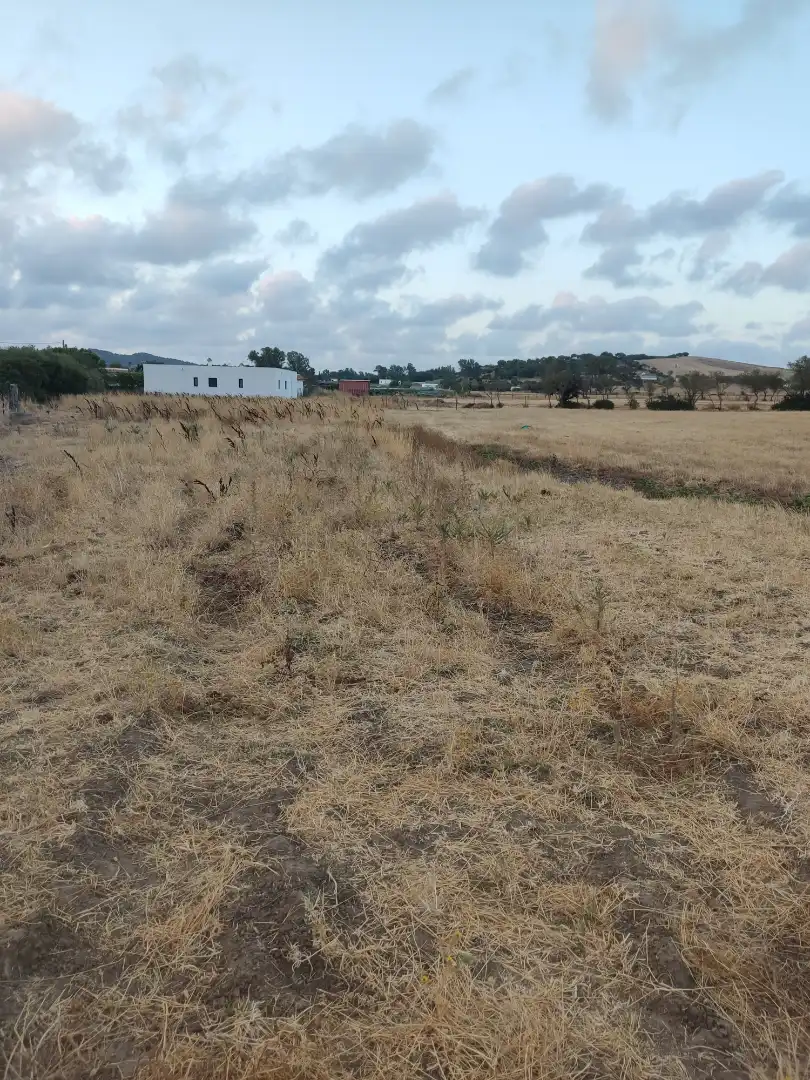 Land for sale in Vejer de la Frontera