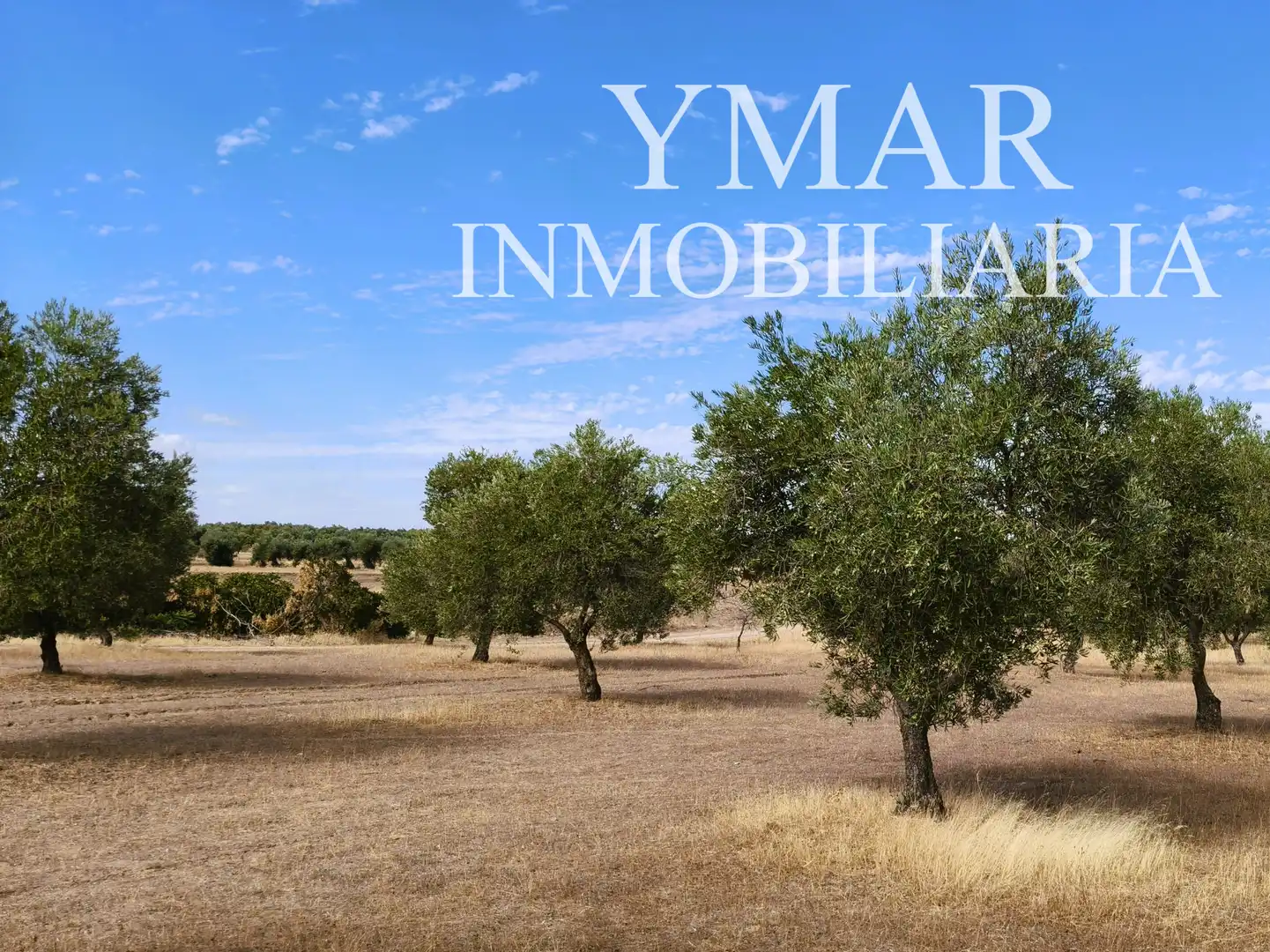 Land for sale in Santo Domingo-Caudilla
