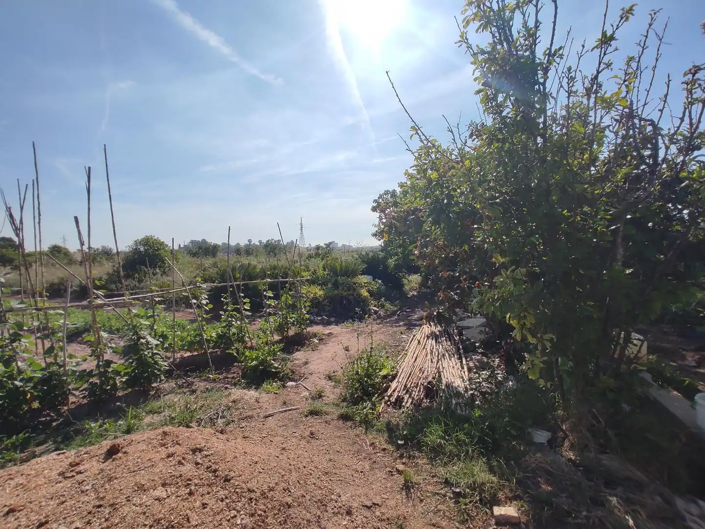 Land for sale in Valencia