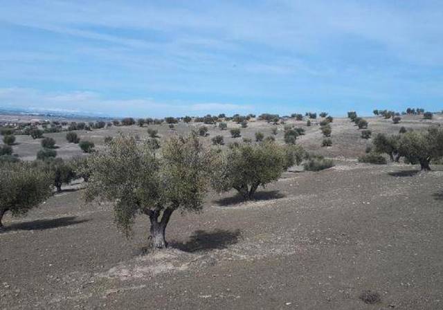 Terreno en Venta en Alameda de la Sagra