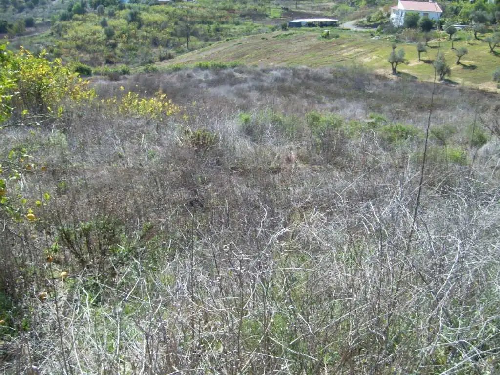 Rustikales Grundstück zum Verkauf in Álora, imagen 7