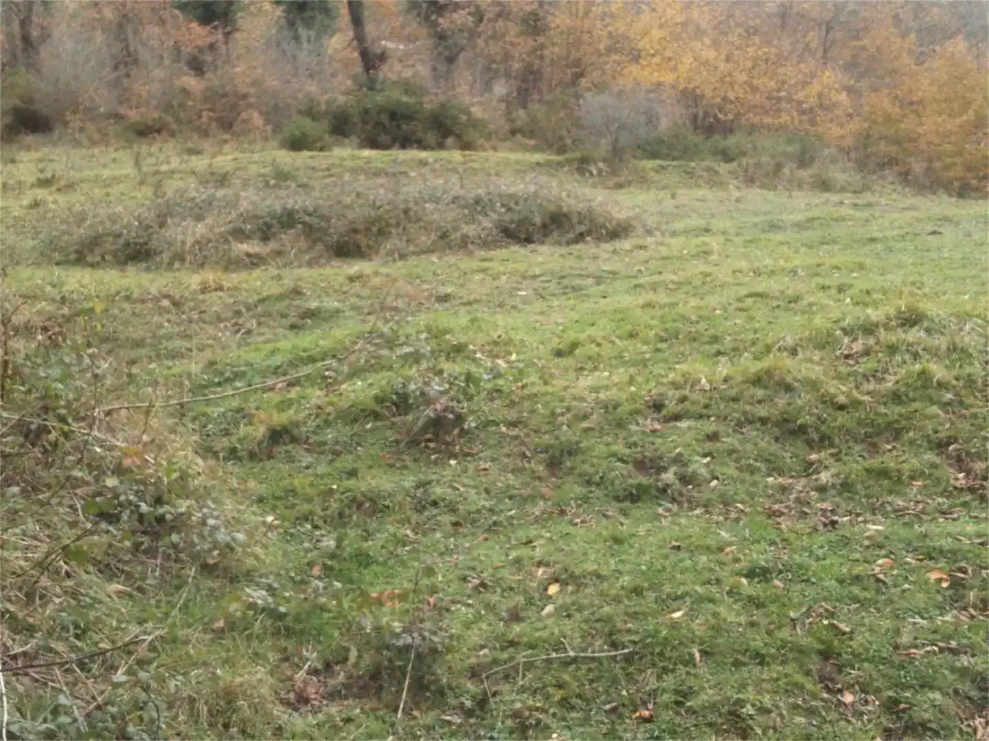Casa o chalet en venta en Caso