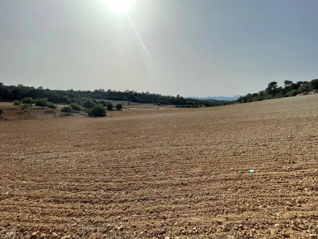 Rural land for sale in Sineu, imagen 10