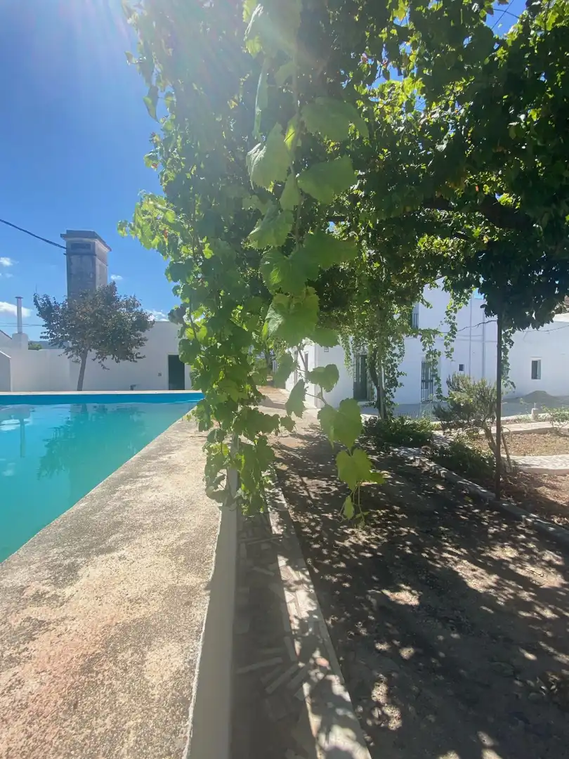Vista exterior de Casa o chalet en venta en Beniarjó con Jardín privado, Terraza y Piscina