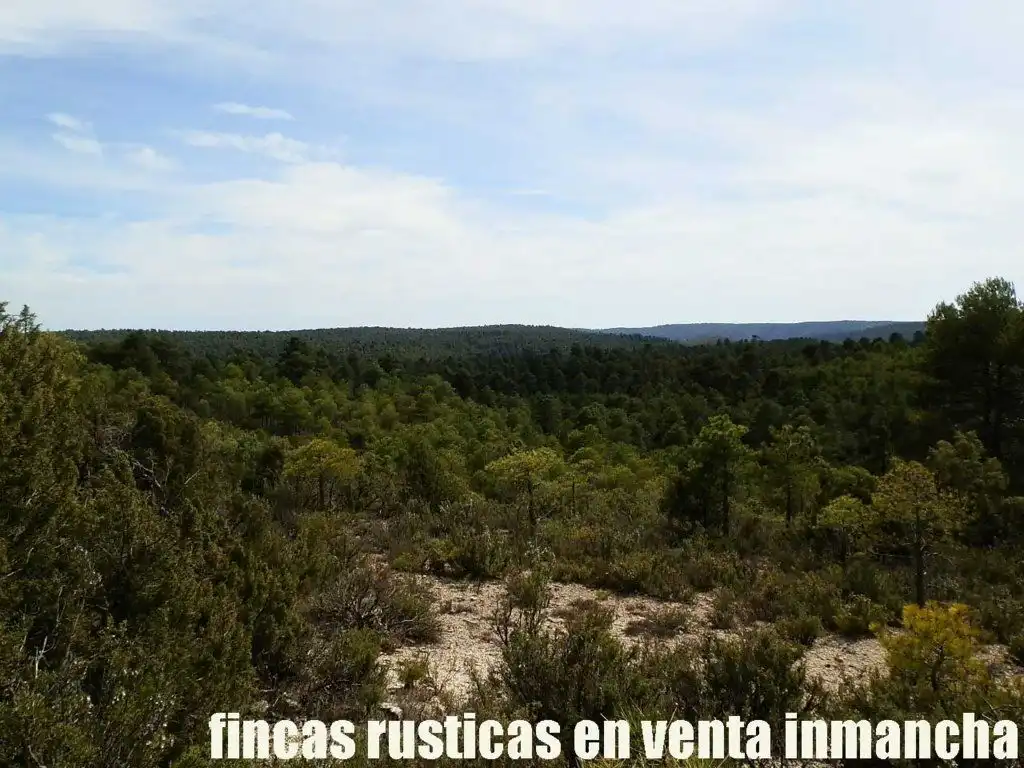 Terreni e lotti in vendita a Carboneras de Guadazaón, imagen 6