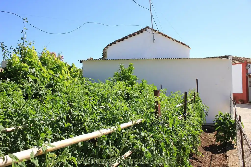 Casa o chalet en venta en de Cádiz, Algodonales
