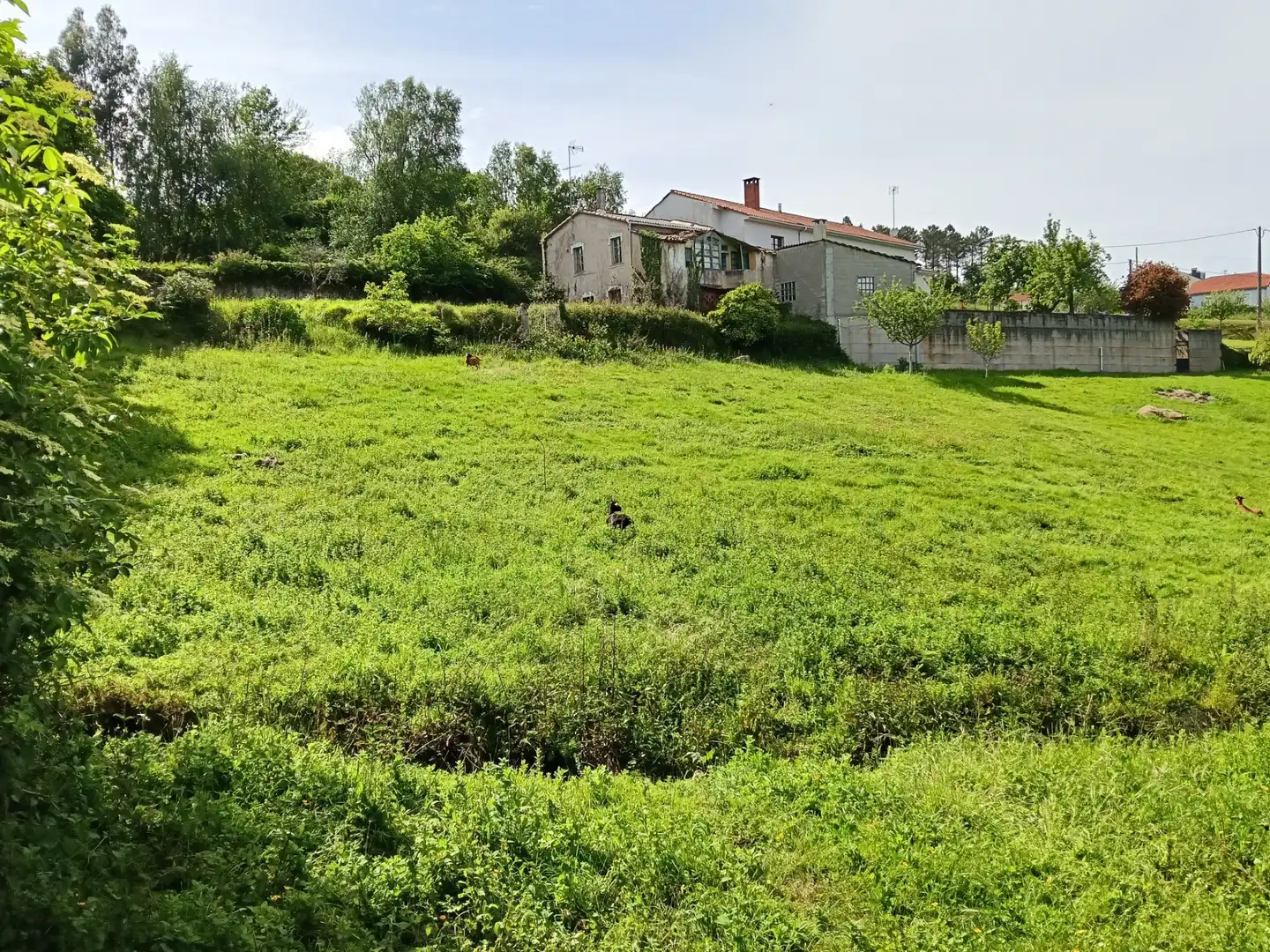 Adossat amb jardí en venda a Oza dos Ríos, imagen 11