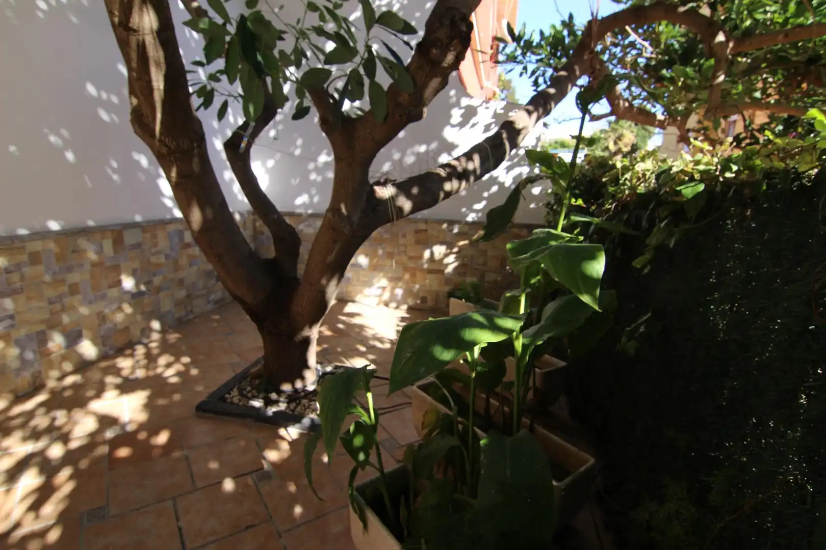 Villa con giardino in vendita a Benalmádena pueblo, imagen 4