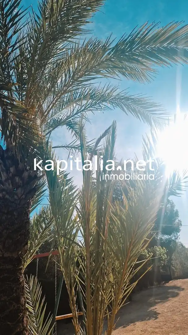Vista exterior de Casa o xalet en venda en Albaida amb Aire condicionat, Traster i Piscina