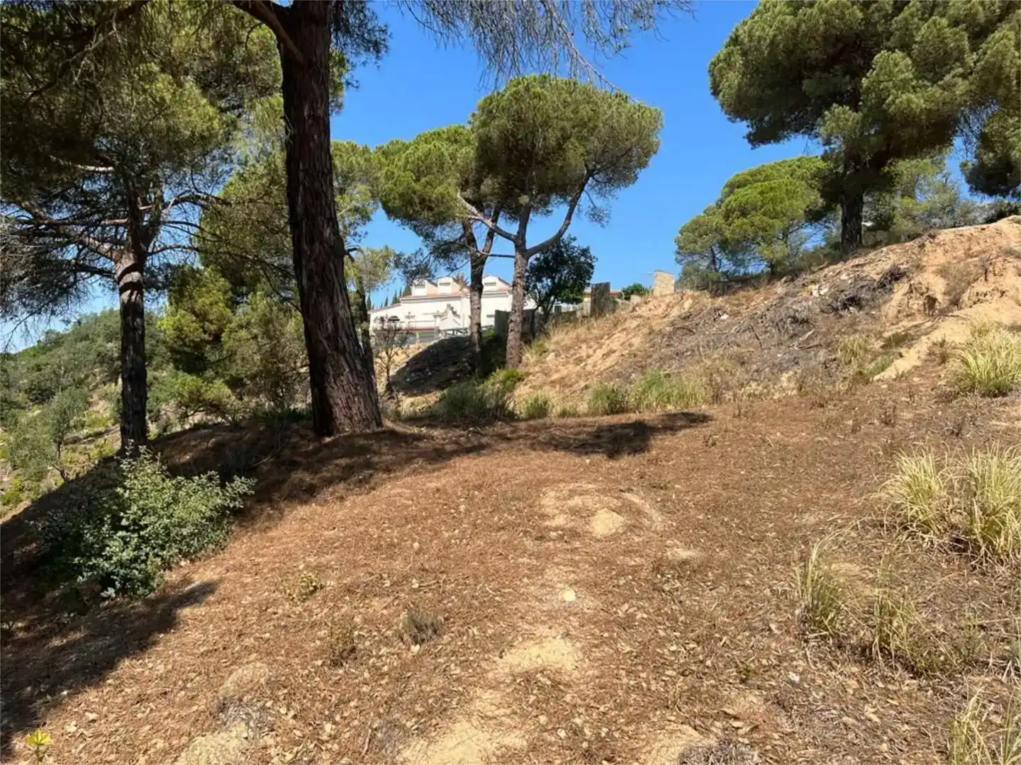 Finca rústica en venda en Lloret de Mar