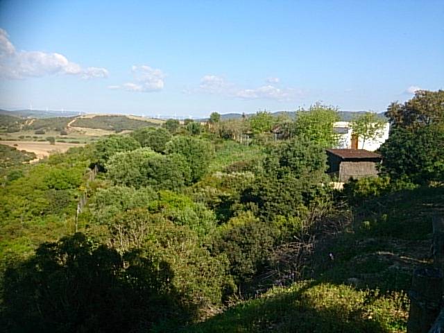 Terreno en Venta en Calle Puerta Sevilla en Casco Histórico  - Ribera - San Basilio