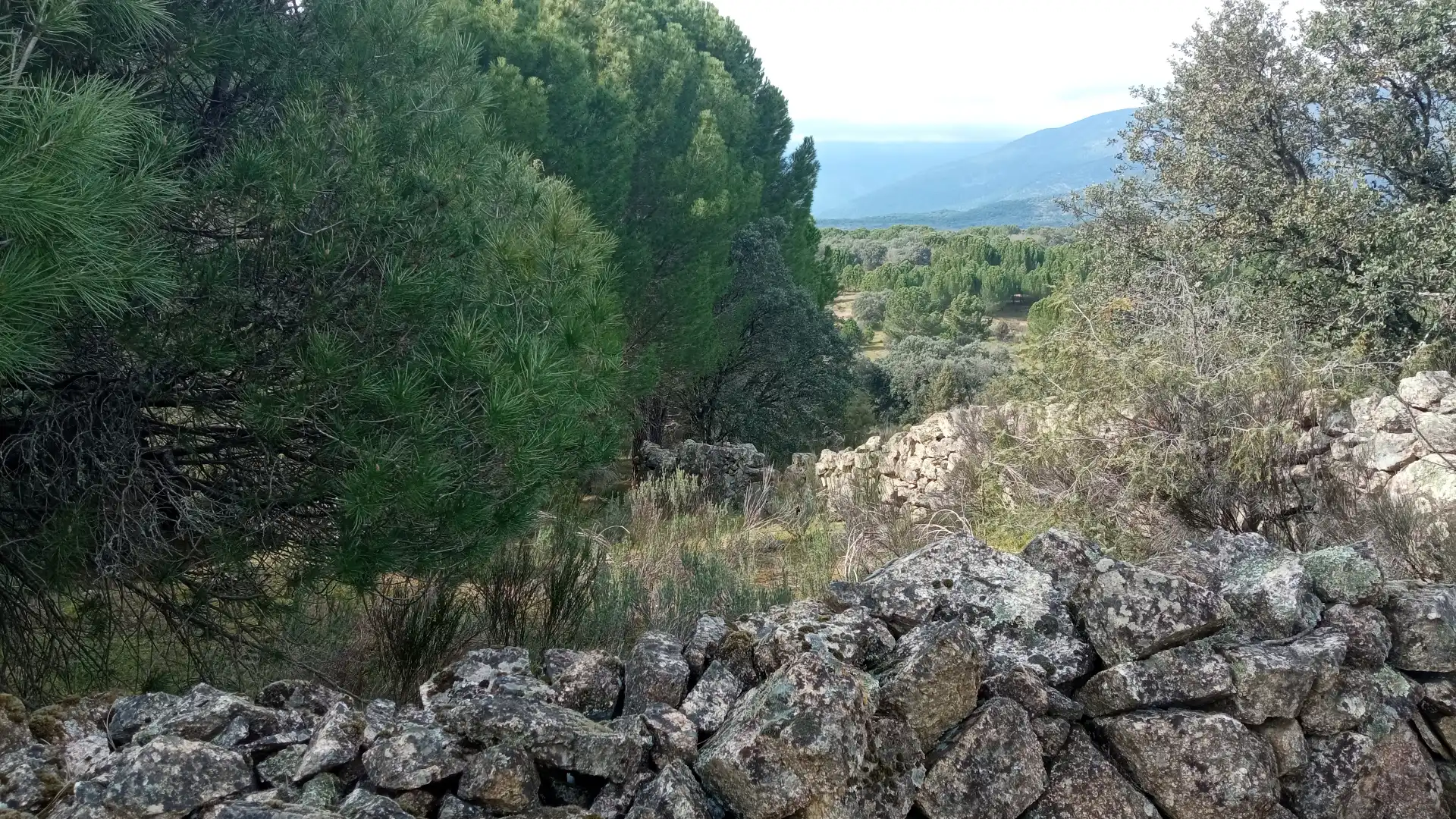 Terreni e lotti in vendita a Sotillo de la Adrada, imagen 7
