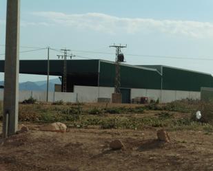 Exterior view of Industrial buildings for sale in Fuente Álamo de Murcia