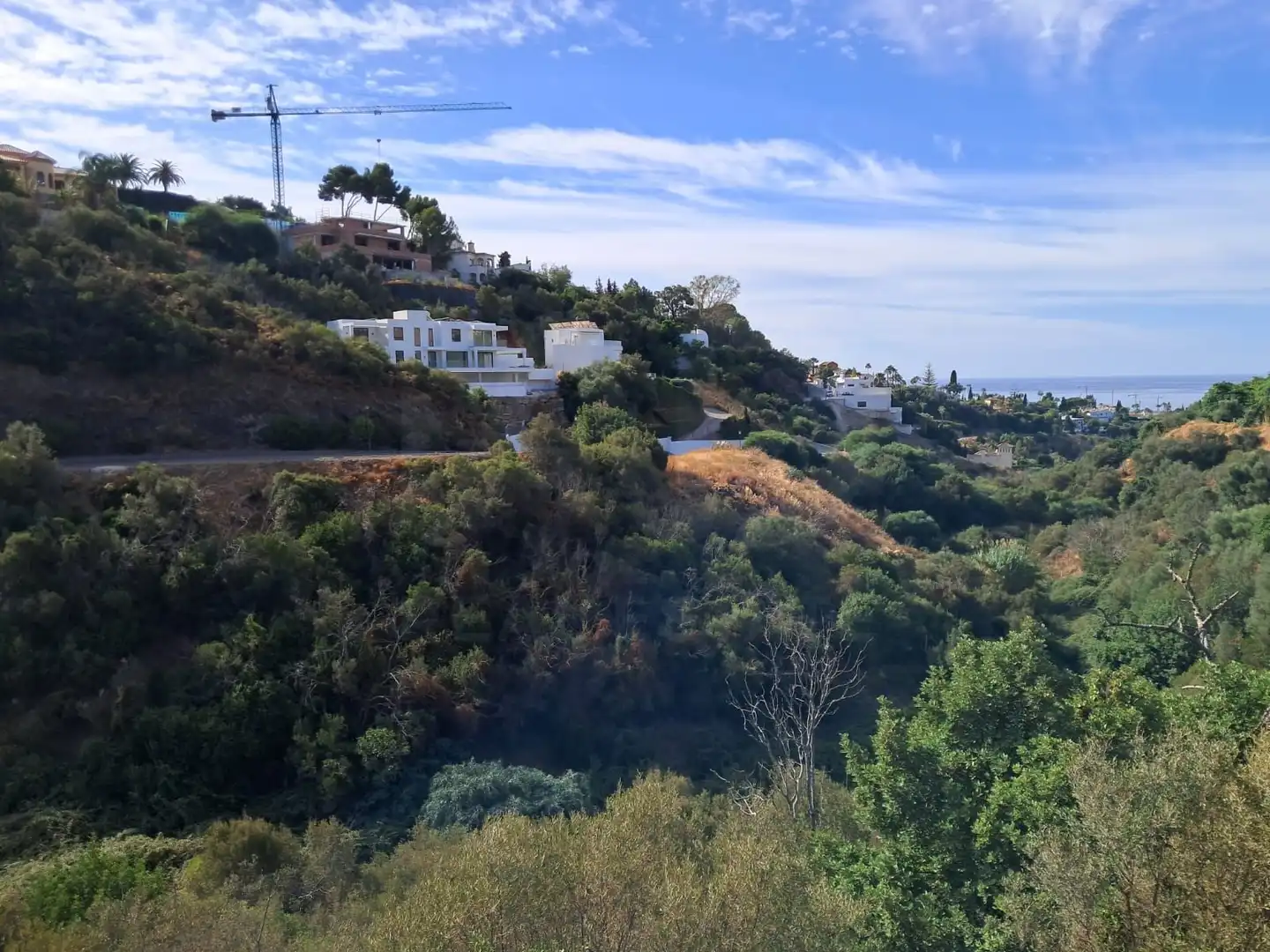 Terreny residencial en venda a Las Chapas - El Rosario, imagen 2