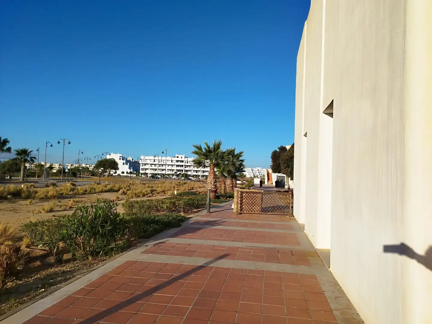 Vista exterior de Local de alquiler en Torre-Pacheco