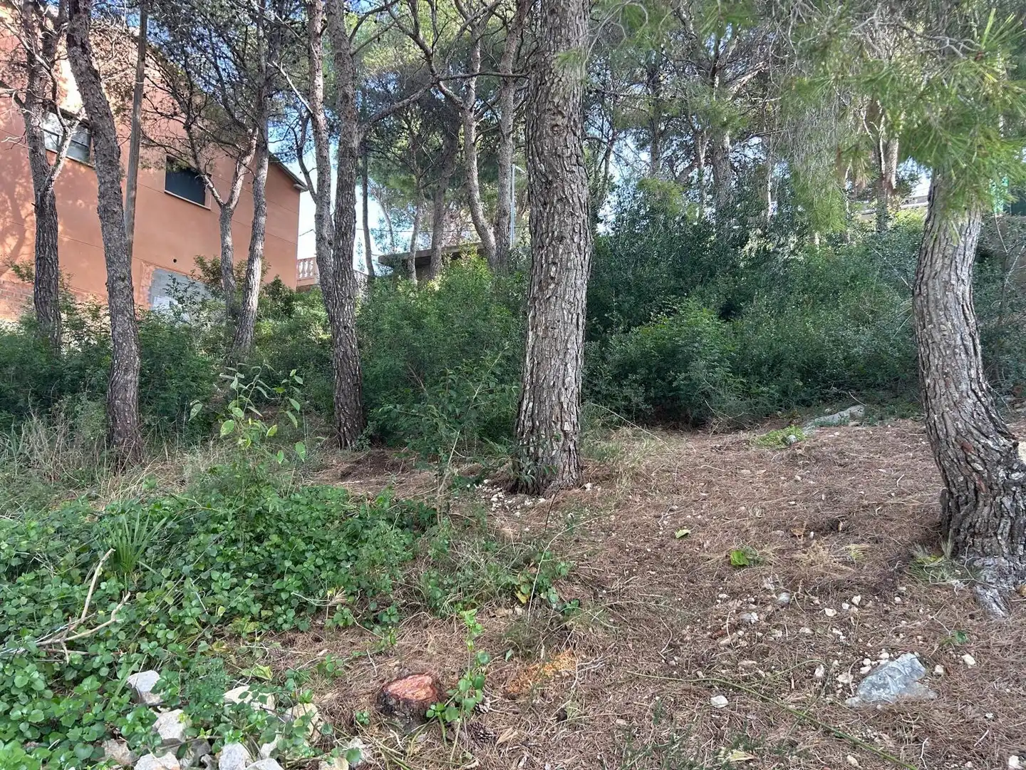 Lands and plots for sale in Segur de Calafell, imagen 8
