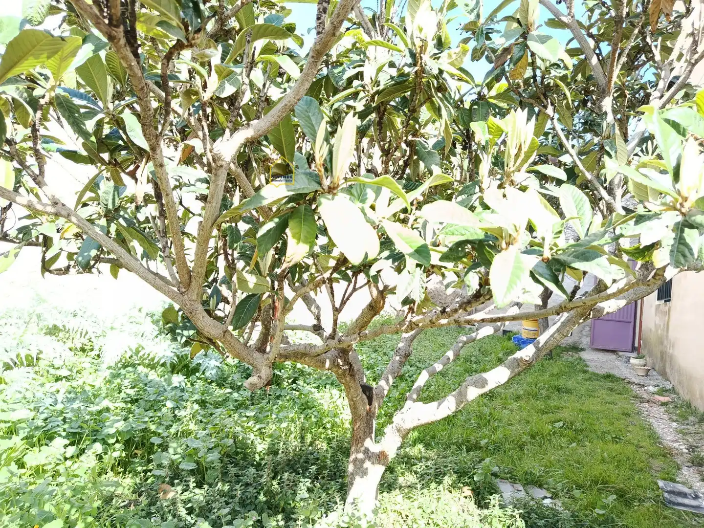 Jardín de Casa o chalet en venta en Lorca con Jardín privado, Trastero y Amueblado