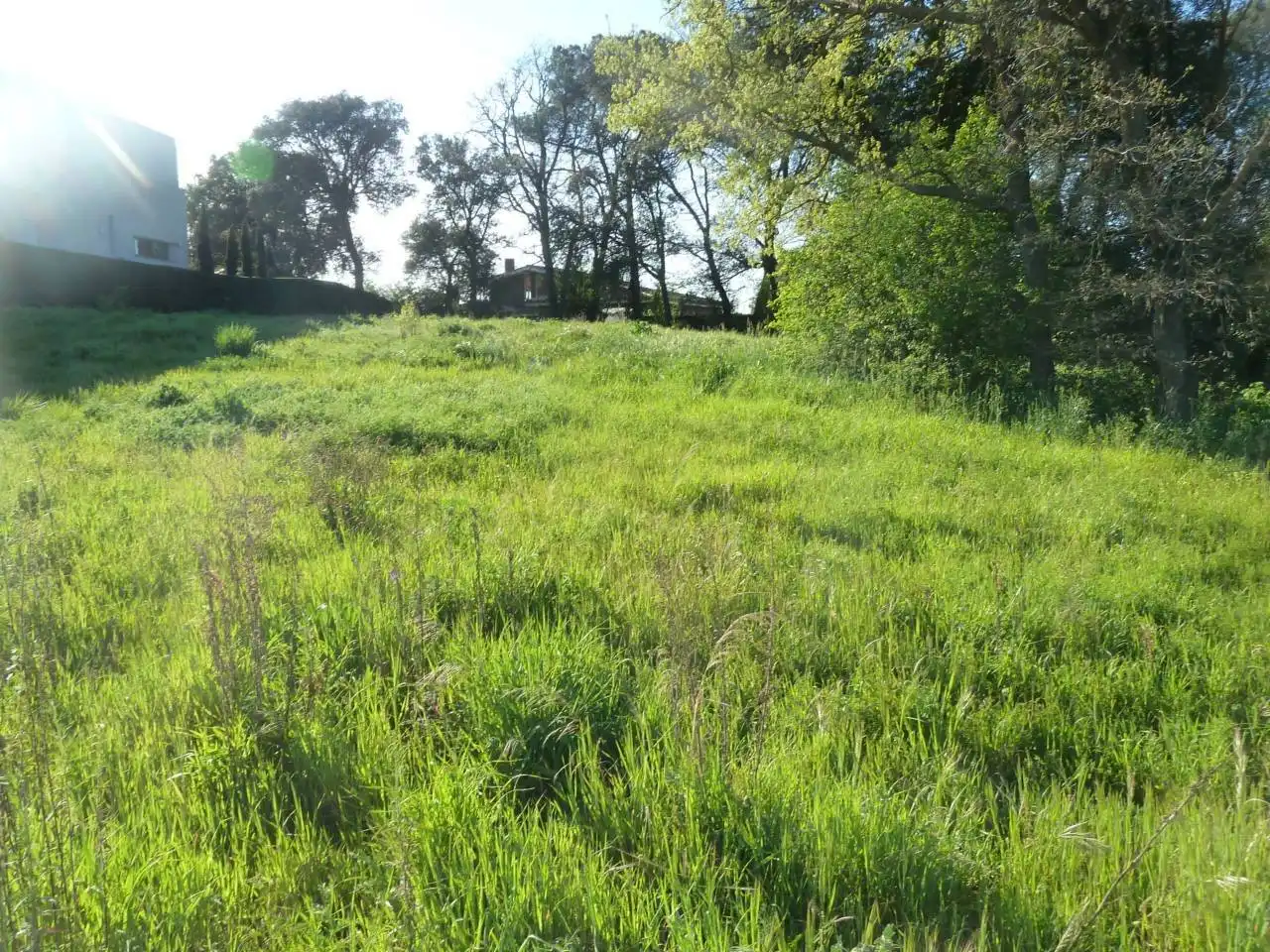 Residential land for sale in Fornells de la Selva, imagen 11