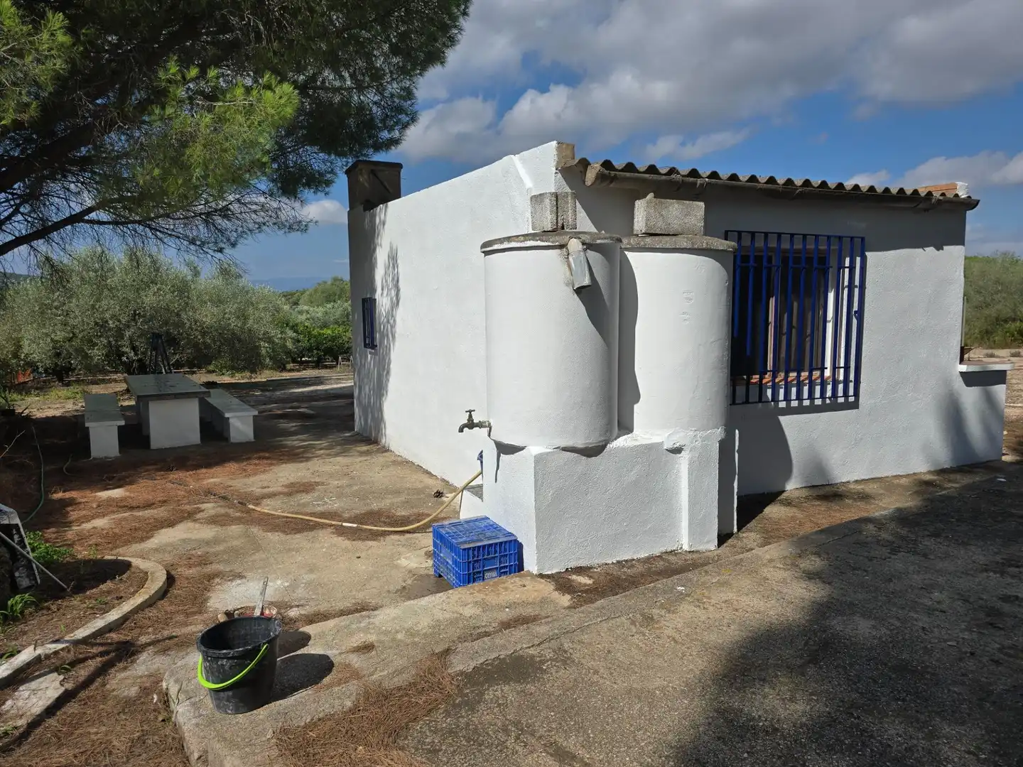 Vista exterior de Finca rústica en venta en Freginals con Jardín privado